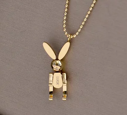 Un collier de lapin en acier inoxydable posé sur une boîte.